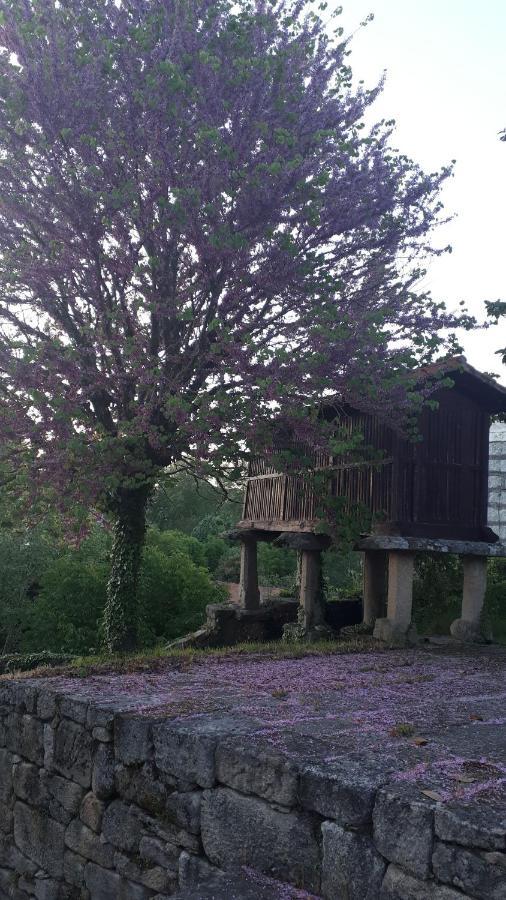 Hotel Casa Rural Torre Lombarda Allariz Zewnętrze zdjęcie